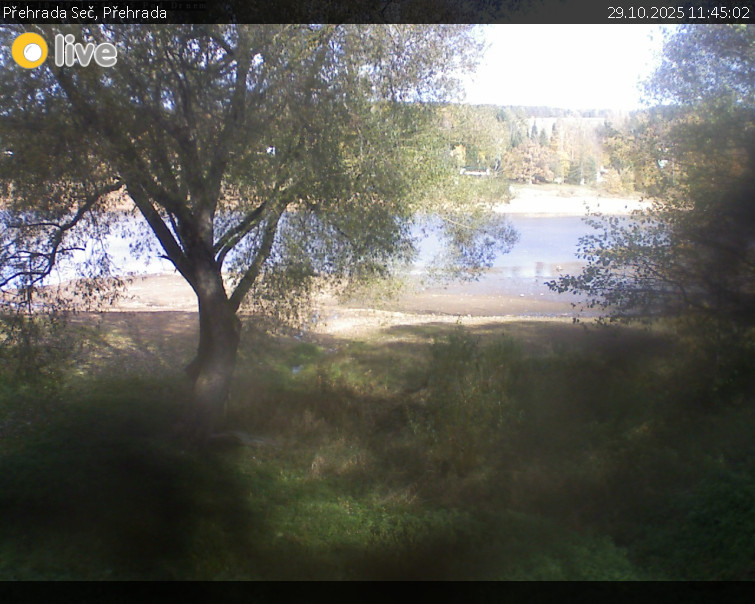 Přehrada Seč - Přehrada - 29.10.2025 v 11:45 Přehrada Seč - Přehrada - 29.10.2025 v 11:45