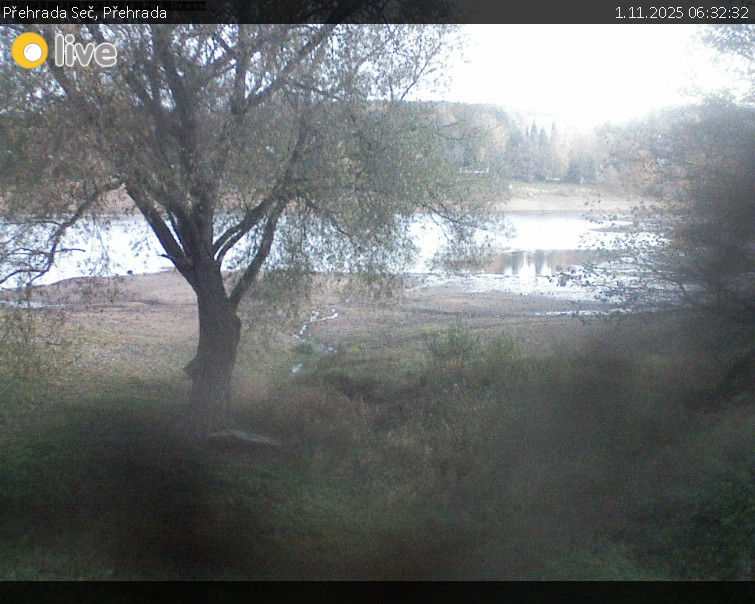 Přehrada Seč - Přehrada - 1.11.2025 v 06:32 Přehrada Seč - Přehrada - 1.11.2025 v 06:32