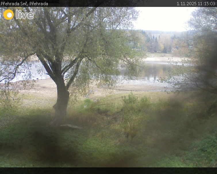 Přehrada Seč - Přehrada - 1.11.2025 v 11:15 Přehrada Seč - Přehrada - 1.11.2025 v 11:15