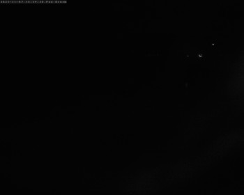 Snímek 7.11.2025 v 19:02