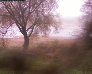 Přehrada Seč - Přehrada - 9.11.2025 v 07:15 Přehrada Seč - Přehrada - 9.11.2025 v 07:15