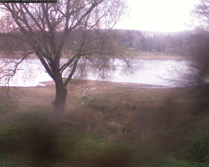 Přehrada Seč - Přehrada - 13.11.2025 v 07:02 Přehrada Seč - Přehrada - 13.11.2025 v 07:02