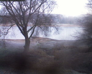 Přehrada Seč - Přehrada - 12.12.2025 v 07:32 Přehrada Seč - Přehrada - 12.12.2025 v 07:32