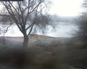 Přehrada Seč - Přehrada - 12.12.2025 v 08:02 Přehrada Seč - Přehrada - 12.12.2025 v 08:02