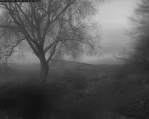 Přehrada Seč - Přehrada - 12.12.2025 v 16:32 Přehrada Seč - Přehrada - 12.12.2025 v 16:32