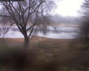 Přehrada Seč - Přehrada - 19.12.2025 v 16:02 Přehrada Seč - Přehrada - 19.12.2025 v 16:02