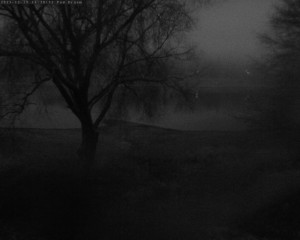 Přehrada Seč - Přehrada - 19.12.2025 v 16:32 Přehrada Seč - Přehrada - 19.12.2025 v 16:32