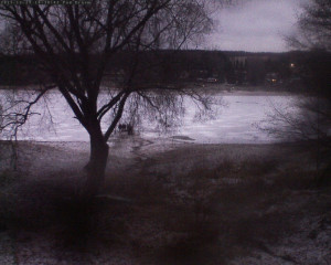 Přehrada Seč - Přehrada - 29.12.2025 v 16:32 Přehrada Seč - Přehrada - 29.12.2025 v 16:32