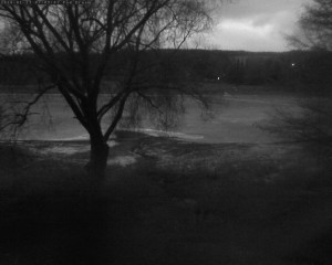 Přehrada Seč - Přehrada - 27.1.2026 v 07:15 Přehrada Seč - Přehrada - 27.1.2026 v 07:15