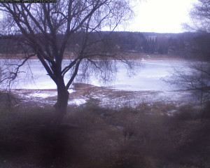 Přehrada Seč - Přehrada - 27.1.2026 v 08:02 Přehrada Seč - Přehrada - 27.1.2026 v 08:02