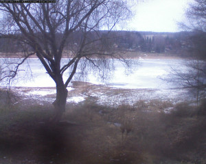 Přehrada Seč - Přehrada - 27.1.2026 v 08:15 Přehrada Seč - Přehrada - 27.1.2026 v 08:15