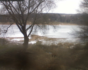 Přehrada Seč - Přehrada - 27.1.2026 v 09:15 Přehrada Seč - Přehrada - 27.1.2026 v 09:15