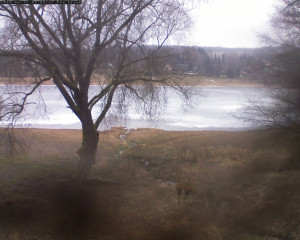 Přehrada Seč - Přehrada - 11.2.2026 v 08:02 Přehrada Seč - Přehrada - 11.2.2026 v 08:02