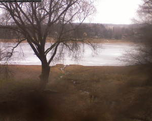 Přehrada Seč - Přehrada - 11.2.2026 v 09:02 Přehrada Seč - Přehrada - 11.2.2026 v 09:02