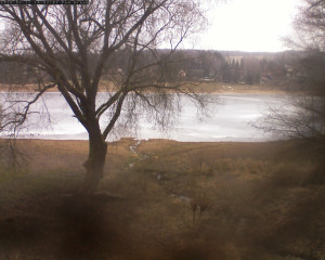 Přehrada Seč - Přehrada - 11.2.2026 v 10:02 Přehrada Seč - Přehrada - 11.2.2026 v 10:02