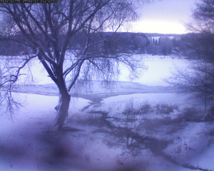 Přehrada Seč - Přehrada - 19.2.2026 v 07:02 Přehrada Seč - Přehrada - 19.2.2026 v 07:02