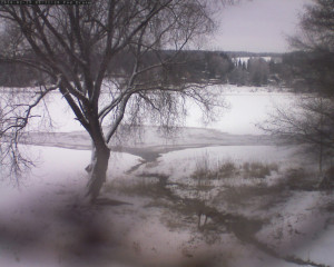 Přehrada Seč - Přehrada - 19.2.2026 v 08:15 Přehrada Seč - Přehrada - 19.2.2026 v 08:15