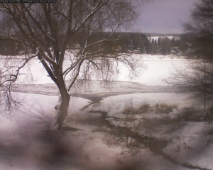 Přehrada Seč - Přehrada - 19.2.2026 v 11:02 Přehrada Seč - Přehrada - 19.2.2026 v 11:02