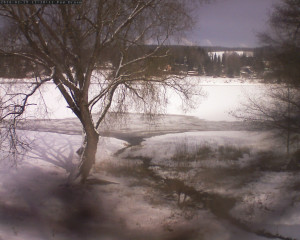 Přehrada Seč - Přehrada - 19.2.2026 v 11:32 Přehrada Seč - Přehrada - 19.2.2026 v 11:32