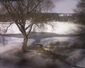 Přehrada Seč - Přehrada - 19.2.2026 v 13:32 Přehrada Seč - Přehrada - 19.2.2026 v 13:32