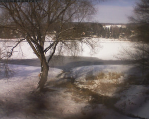 Přehrada Seč - Přehrada - 19.2.2026 v 14:02 Přehrada Seč - Přehrada - 19.2.2026 v 14:02