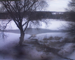 Přehrada Seč - Přehrada - 19.2.2026 v 17:02 Přehrada Seč - Přehrada - 19.2.2026 v 17:02