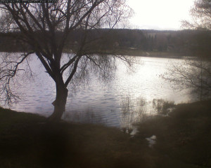 Přehrada Seč - Přehrada - 12.3.2026 v 15:02 Přehrada Seč - Přehrada - 12.3.2026 v 15:02