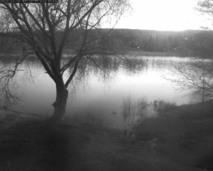 Přehrada Seč - Přehrada - 19.3.2026 v 05:32 Přehrada Seč - Přehrada - 19.3.2026 v 05:32