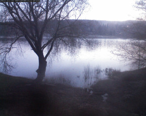 Přehrada Seč - Přehrada - 19.3.2026 v 05:45 Přehrada Seč - Přehrada - 19.3.2026 v 05:45