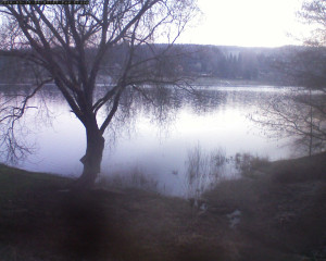 Přehrada Seč - Přehrada - 19.3.2026 v 06:02 Přehrada Seč - Přehrada - 19.3.2026 v 06:02