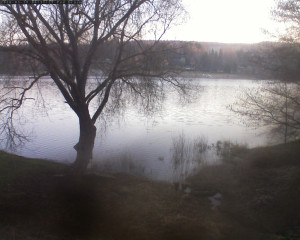 Přehrada Seč - Přehrada - 19.3.2026 v 06:32 Přehrada Seč - Přehrada - 19.3.2026 v 06:32