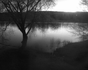 Přehrada Seč - Přehrada - 8.4.2026 v 05:45 Přehrada Seč - Přehrada - 8.4.2026 v 05:45