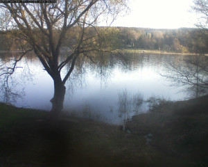 Přehrada Seč - Přehrada - 8.4.2026 v 07:15 Přehrada Seč - Přehrada - 8.4.2026 v 07:15