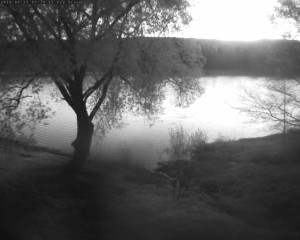 Přehrada Seč - Přehrada - 27.4.2026 v 05:15 Přehrada Seč - Přehrada - 27.4.2026 v 05:15