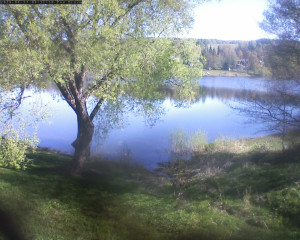 Přehrada Seč - Přehrada - 27.4.2026 v 09:32 Přehrada Seč - Přehrada - 27.4.2026 v 09:32