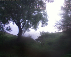 Přehrada