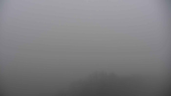 Snímek 12.11.2025 v 16:01