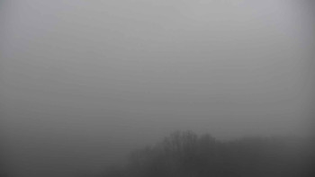 Snímek 17.11.2025 v 07:31