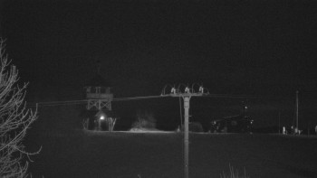 Snímek    25.10.2025 v 04:32