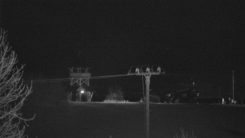 Snímek    25.10.2025 v 21:05