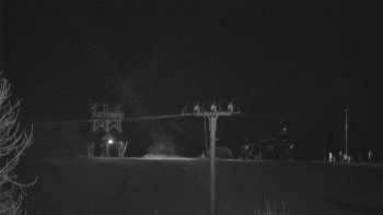 Snímek    28.10.2025 v 00:10