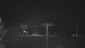 Snímek    28.10.2025 v 01:02