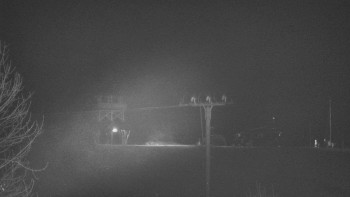 Snímek    28.10.2025 v 01:15