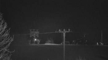 Snímek    28.10.2025 v 04:35