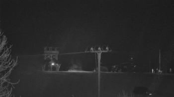 Snímek    28.10.2025 v 19:50