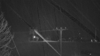 Snímek    28.10.2025 v 20:05