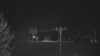 Snímek    28.10.2025 v 20:55