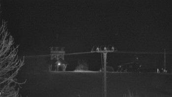 Snímek    28.10.2025 v 21:55