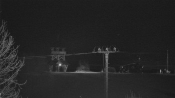 Snímek    28.10.2025 v 22:45