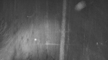 Snímek    29.10.2025 v 03:15